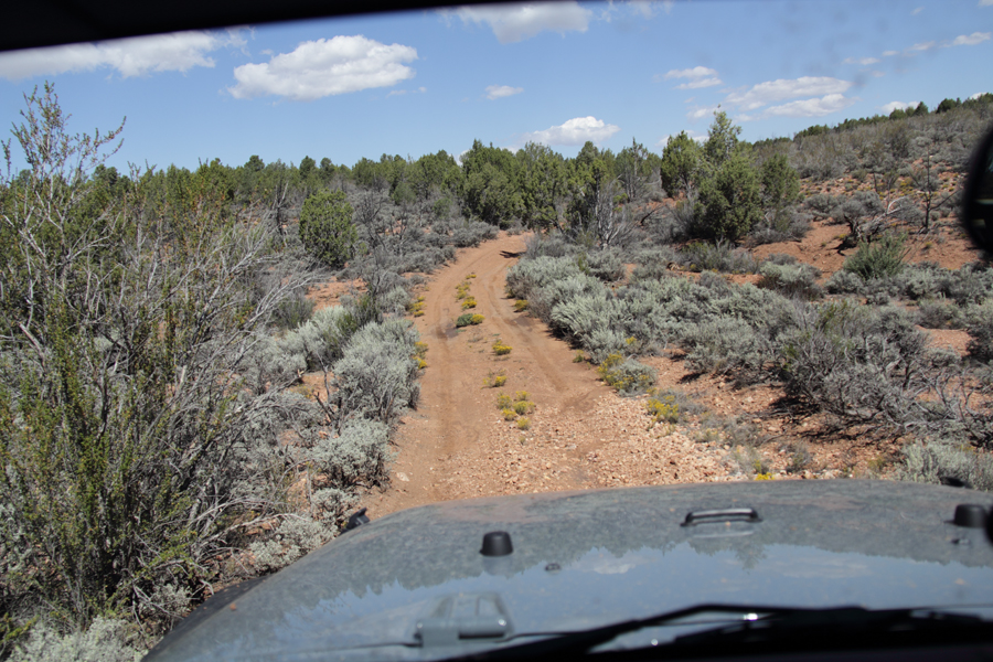 Jeep trail to north rim of grand canyon #3